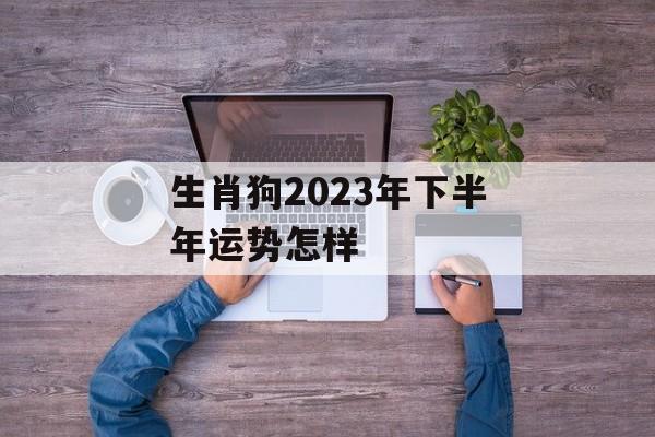 生肖狗2024年下半年运势怎样