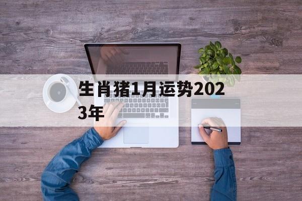 生肖猪1月运势2024年