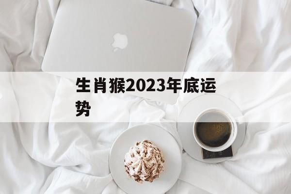 生肖猴2024年底运势