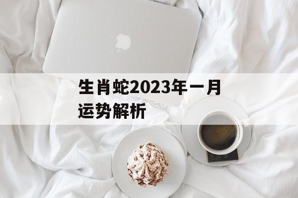 生肖蛇2024年一月运势解析