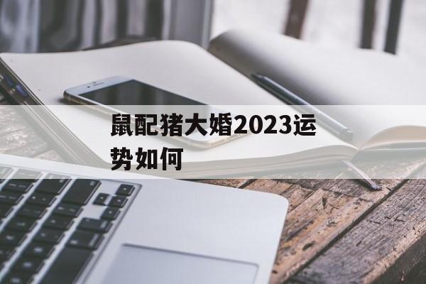 鼠配猪大婚2024运势如何